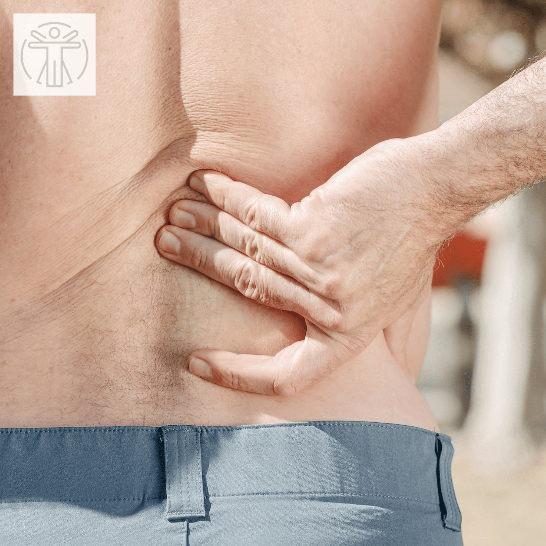 the port credit commuter’s guide to spine health: beat “commuter’s back” with chiropractic support