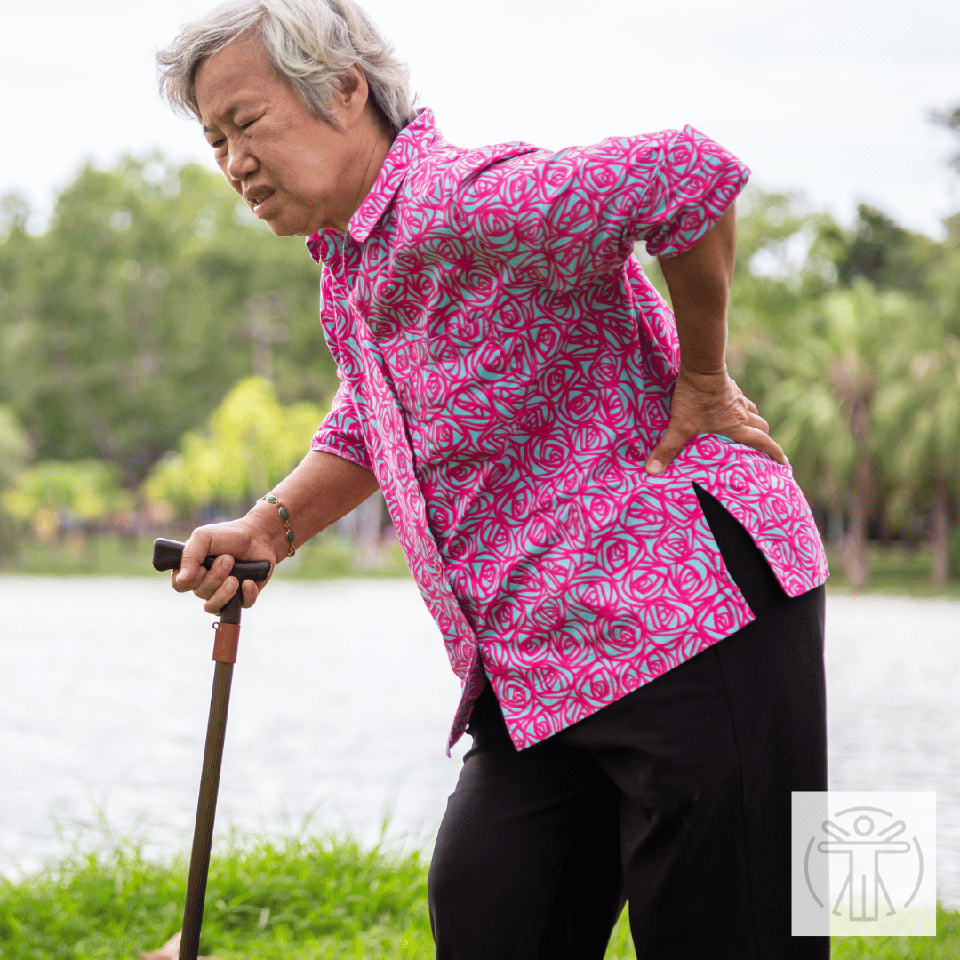longevity in the port: how seniors are staying mobile in port credit