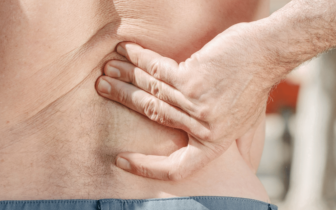 Stay Active and Pain‑Free: A Port Credit Guide to Proactive Health Management